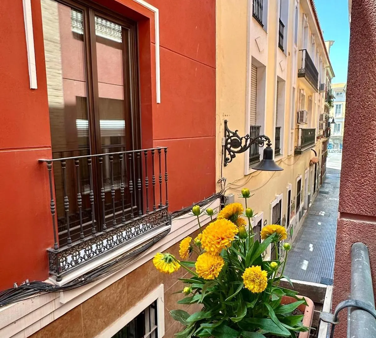 Apartamento Corazon Centro Historico Malaga 0*,  Spain